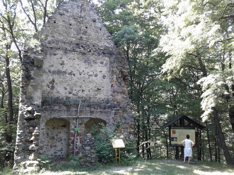 Zamek Rokitnica Pozostałość kaplicy zamkowej
