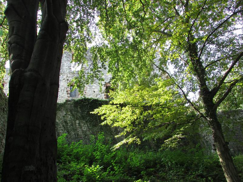 Zamek Babice (Lipowiec) Mury zewnętrzne