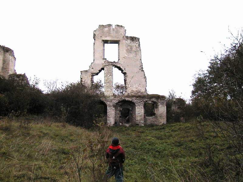 Zamek Mokrsko Górne Ruiny