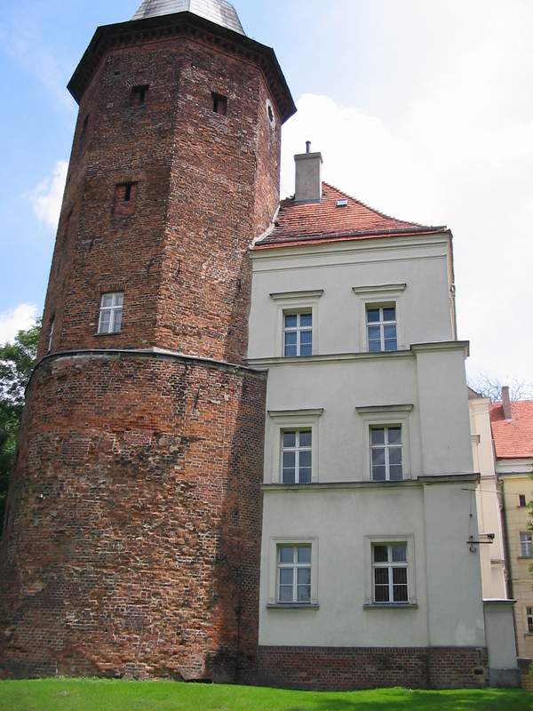 Zamek Koźmin Wieża