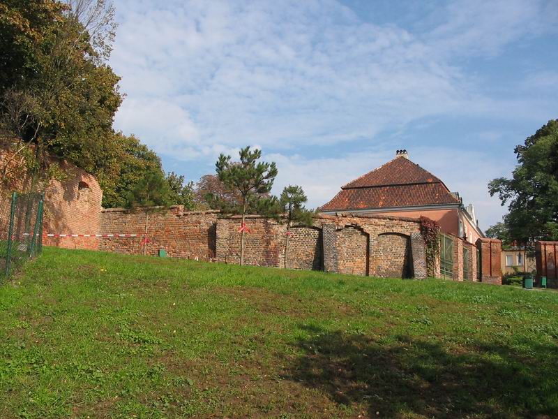 Zamek Poznań Mury obronne